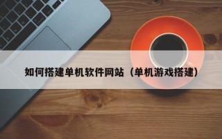 山东如何搭建单机软件网站（单机游戏搭建）